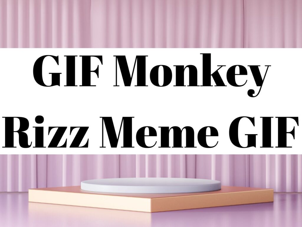 GIF Monkey Rizz Meme GIF