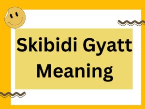 Read more about the article Skibidi Gyatt Meaning: The Viral Gen Z Phrase Explained! 🔥💀