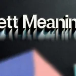 Fett Meaning: Origins, Slang, Star Wars Connections, and Cultural Impact