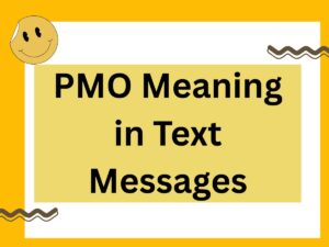 Read more about the article PMO Meaning in Text Messages: Slang, Uses, and Examples in 2025