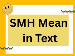 Read more about the article What Does SMH Mean in Text? Full 2025 Guide with Examples