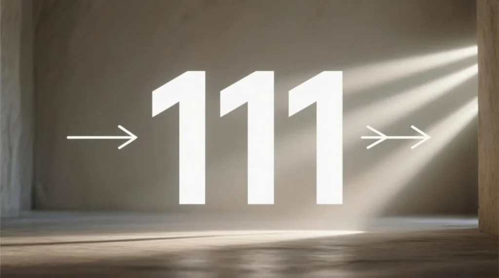 What Does 111 Mean in General?