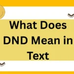 What Does DND Mean in Text? The Complete 2025 Guide with Context, Examples, and Alternatives