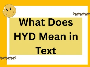 Read more about the article What Does HYD Mean in Text (2025 Expert Guide to Meaning, Usage, and Alternatives)