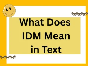 Read more about the article What Does IDM Mean in Text: The Complete 2025 Guide