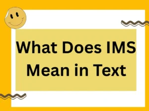Read more about the article What Does IMS Mean in Text: A Complete 2025 Guide to Meaning, Usage, and Alternatives