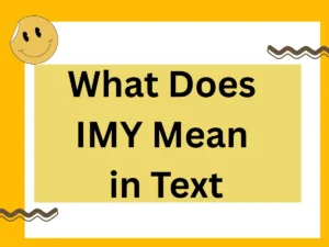 Read more about the article 📈 What Does IMY Mean in Text? The Ultimate 2025 Expert Guide