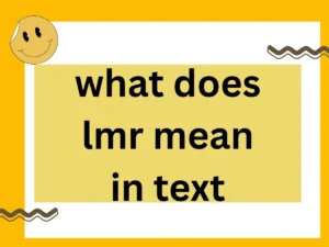 Read more about the article What Does “LMR” Mean in Text? Stand For and Meaning in Text