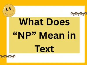 Read more about the article What Does “NP” Mean in Text? Exploring Polite, Professional, and Casual Alternatives