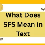 What Does SFS Mean in Text? Complete 2025 Guide to Meanings, Uses, and Context