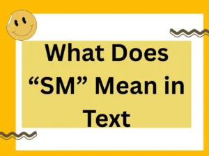 Read more about the article What Does “SM” Mean in Text? Stand For and Meaning in Text