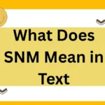 What Does SNM Mean in Text? The Complete 2025 Guide with Context, Examples, and Alternatives
