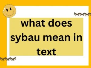 Read more about the article What Does “SYBAU” Mean in Text? Stand For and Meaning in Text