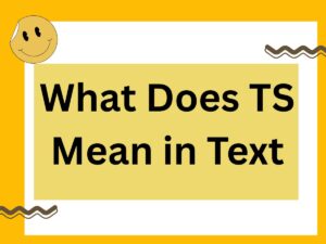 Read more about the article What Does TS Mean in Text? A Guide to Polite and Professional Use 2025