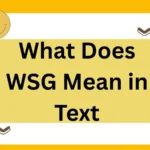 What Does WSG Mean in Text? The Ultimate 2025 Guide to Meaning, Context, and Best Alternatives