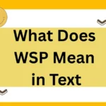 What Does WSP Mean in Text: A 2025 Expert’s Guide to Meaning, Usage, and Alternatives