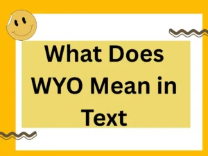Read more about the article What Does WYO Mean in Text? The 2025 Definitive Guide to Meaning, Usage, and Smart Alternatives