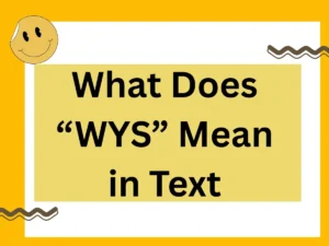 Read more about the article What Does “WYS” Mean in Text? A 2025 Deep Dive into Tone, Context, and Alternatives