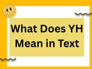 Read more about the article What Does TS Mean in Text? Full 2025 Guide With Meanings, Examples & Usage Tips